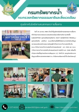 สีเขียว สีขาว ภาพประกอบ เรียบง่าย ทางการ จดหมายข่าว Newsletter A4 - 1