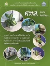 5-พื้นที่สีเขียว