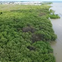 Thailand names its 16th Wetland of International Importance